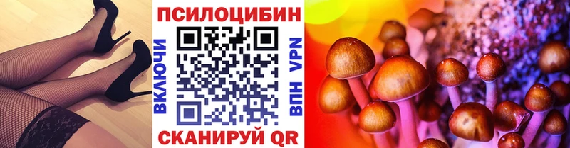 где продают   Вуктыл  Галлюциногенные грибы Cubensis 